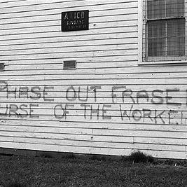 Anti-Fraser graffiti