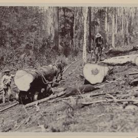 Logging team at work