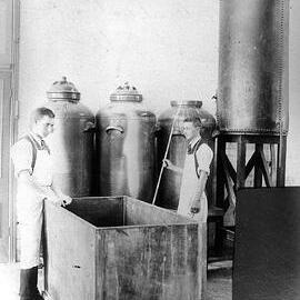 The Manufacture of Bismuth Salts