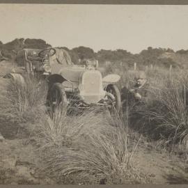 Caught in a tussock on the Coorong