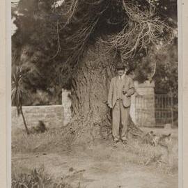 [Russell Grimwade in the garden,] Ercildoune [Homestead]