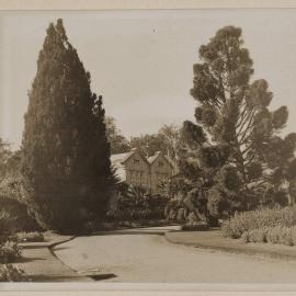 Ercildoune [Homestead long driveway]