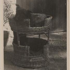 Grimwade House, Victoria