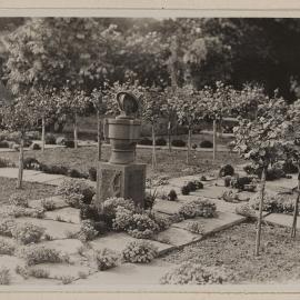 [Miegunyah rose garden]