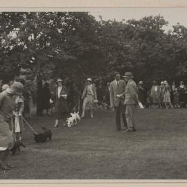 Comical dog show [Miegunyah]