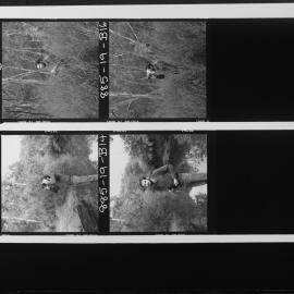 Clarke, Dr Michael, Zoology, at his bellbird research site near the Plenty River, Bundoora