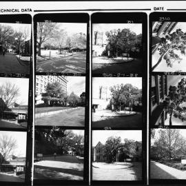 University buildings