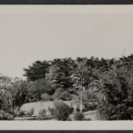 Nareen and garden, August 1949