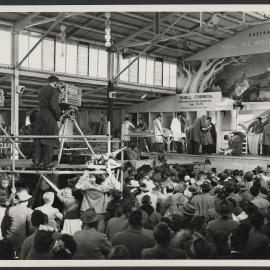 Photographs of sheep shearing championship and Blowfly chemical display at Royal Melbourne Show 1956 [1 of many]