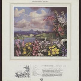 NORTHERN RIVERS . . . THE LUSH LAND