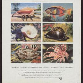 Discover Australia With Shell - a Tourist's Treasureland of Beauty and Variety - Australia's Great Coastline