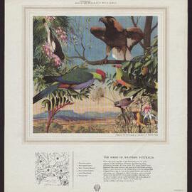 Discover Australia With Shell - Birds of Australia [2 of many]