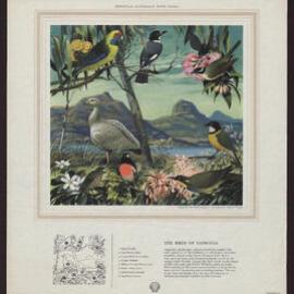 Discover Australia With Shell - Birds of Australia [3 of many]