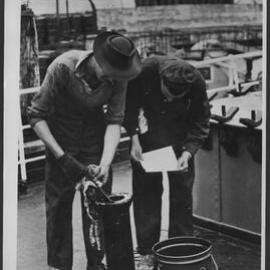 Photographs of Clyde Refinery, 1948-1968 [3 of many]