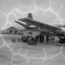 An Ansett-ANA British built Vickers Viscount 11 carrying Australian registration VH-RMI, being refuelled by Shell Australia workers, in front of terminal buildings at an unidentified Australian airport.