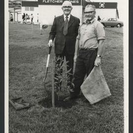 Tree planting, Mount Gambier