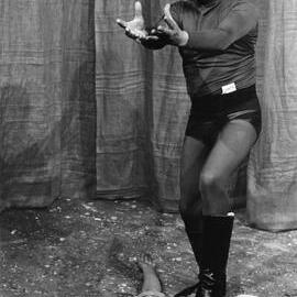 Diana Palmer and Lee Falk