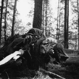 A Hunch and La Belle of Notre Dame