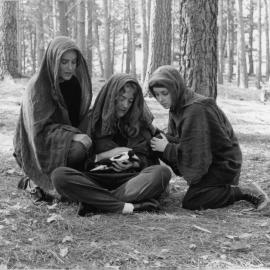 A Hunch and La Belle of Notre Dame