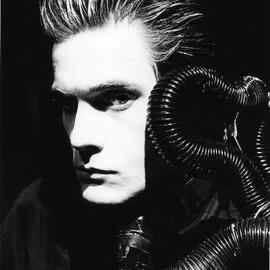 Advice from a Caterpillar