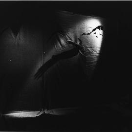 Bastraction One: Canvassing Responses: Revival