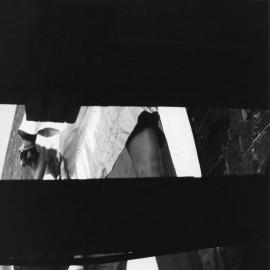 View from a Basement