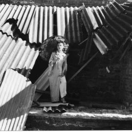 View from a Basement