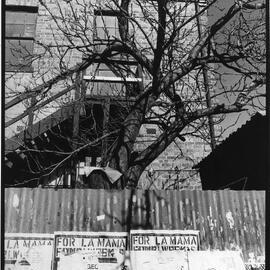 La Mama Theatre
