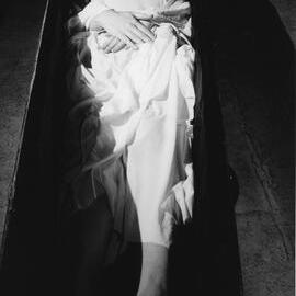 The Road to Hell is Paved with Slaughter