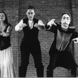 Lions, Tigers, Wolves and Me