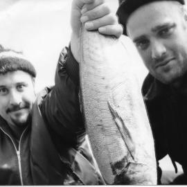 In the Belly of the Whale