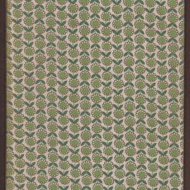 Shakespeare's Early Comedies [green floral notebook]