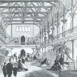 Interior of National Museum, University of Melbourne.