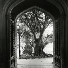 Main Doorway of Old Wilson Hall, University of Melbourne, 12 January 1938