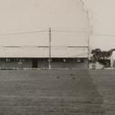 Panoramic view of the Mildura branch, University of Melbourne, 1947-1949.
