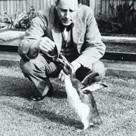 Professor Frederic Wood Jones with penguin, University of Melbourne, circa 1934.