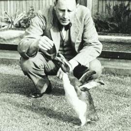 Professor Frederic Wood Jones with penguin, University of Melbourne, circa 1934.