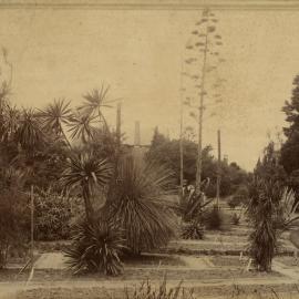 System Garden, University of Melbourne.