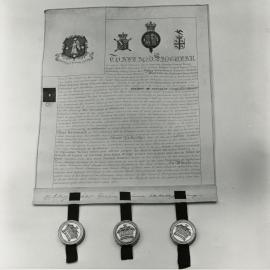 University Muniments - Grant of Arms, 1863.
