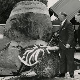 Unveiling the stones in the Redmond Barry courtyard, University of Melbourne, 22 November 1961.