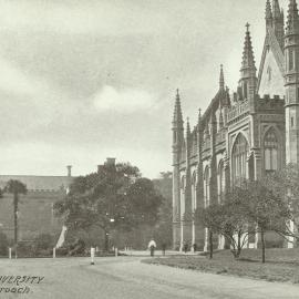 View north along Main Drive, University of Melbourne, circa 1910.