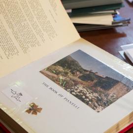 [The Book of Pianelli]