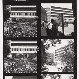 Preston and Northcote Community Hospital