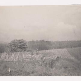 Residence for N. Spiglman