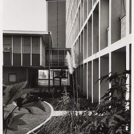Monash Medical School