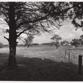 Latrobe University site photos