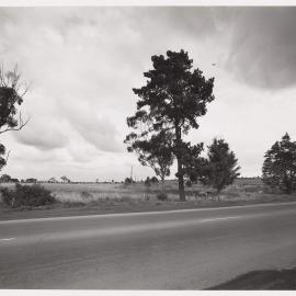 Latrobe University site photos