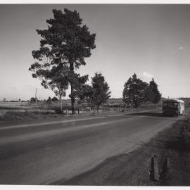 Latrobe University site photos