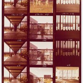 Corpus Christi College