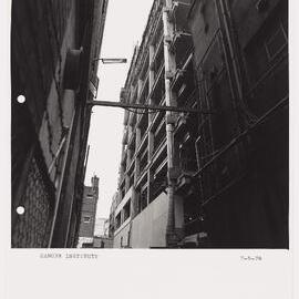 The Cancer Institute